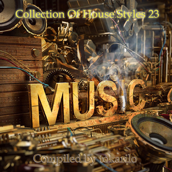 VA - Collection Of House Styles 23 [Compiled by tokarilo] (2025) MP3